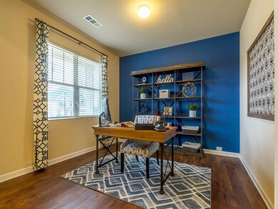 Galen - Office