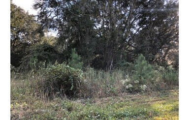 988 NW Moore Rd, Lake City, FL 32055 - photo 2