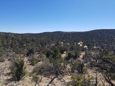 0 Un Named Rd unit 1045970, Ash Fork, AZ 86320 - photo 5