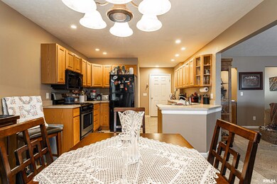 1002 N Sherman St, Lincoln, IL 62656 - photo 7