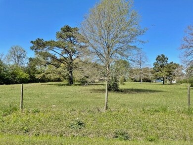 40 Mesa Rd, Tylertown, MS 39667 - photo 2