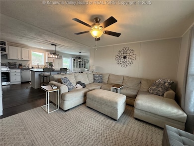 6498 Triplett Ridge Rd, Clay, WV 25043 - photo 6