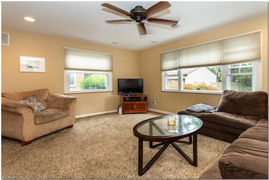 Living room featuring a wealth of natural light, light carpet, and ceiling fan