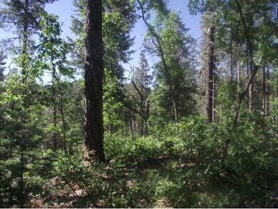 Lush Green Vegetation