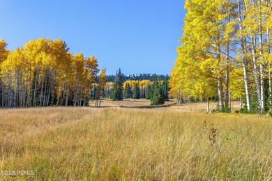 Roadway up canyon from 4