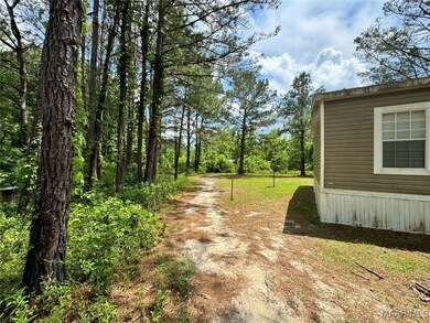 32282 Sapling Ln, Dozier, AL 36028 - photo 6