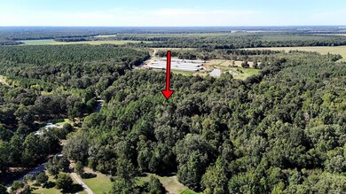 10365 Alexander Rd, Pine Bluff, AR 71603 - photo 6