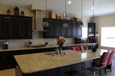 5401 Sanderling Ridge Dr, Lithia, FL 33547 - photo 4