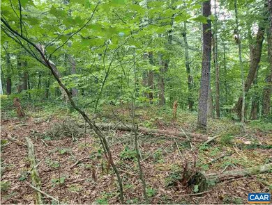 0 Dooley Dr unit 24 594552, Basye, VA 22810 - photo 5