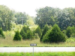 Highway 60 View
