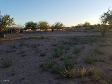 back yard