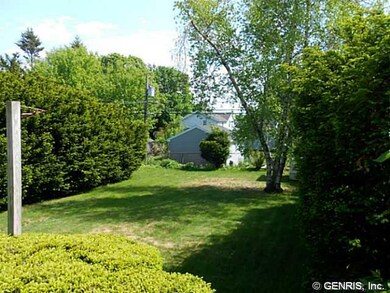 Backyard. Private backyard.