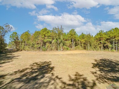 TBD N Fm 161, Hughes Springs, TX 75656 - photo 7