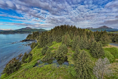 6186 Cliff Point Rd, Kodiak, AK 99615 - photo 6
