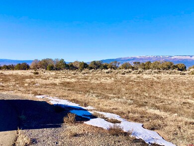 Lot 9 Summit Ct, Cedaredge, CO 81413 - photo 3