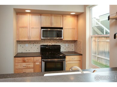 803 Heschel St unit D, Fort Collins, CO 80524 - photo 5