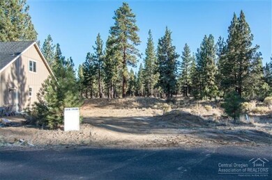 462 N Village Meadows Rd, Sisters, OR 97759 - photo 2