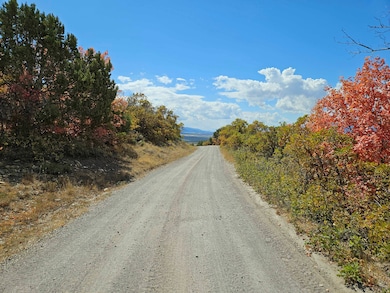 View of dirt / gravel road