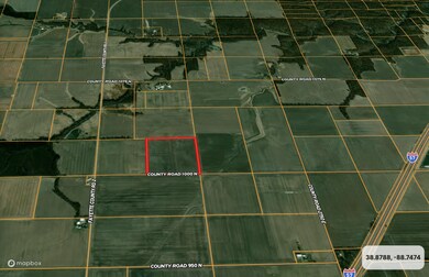 000 1000 Rd N, Farina, IL 62838 - photo 4