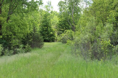 IMG_0189