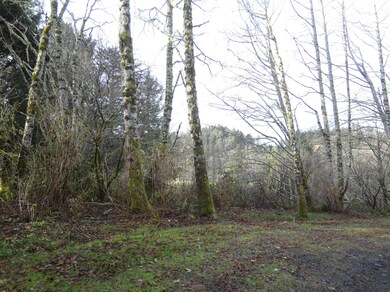 Alders