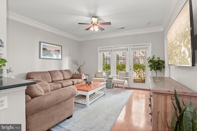 The Fitz at Rockville Town Center, Rockville, MD 20850 - photo 2