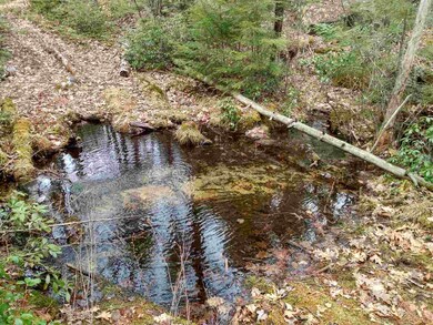 0 Off Rails To Trails Trail unit 12 4801015, Fitzwilliam, NH 03447 - photo 5