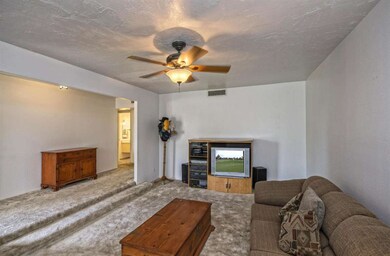 Sunken Living Room