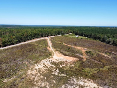 0 State Highway 790, Ackerman, MS 39735 - photo 6
