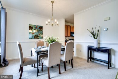 117 Egypt Farms Rd, Owings Mills, MD 21117 - photo 4