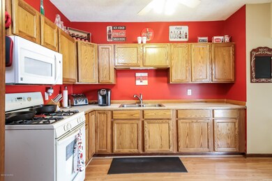 924 N Hudson St SE, Lowell, MI 49331 - photo 5