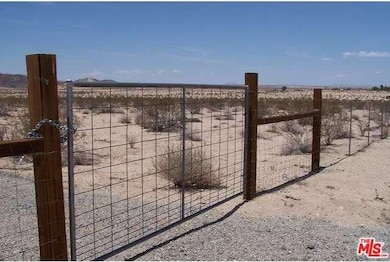 5316 Pearl Springs Ave, Twentynine Palms, CA 92277 - photo 3