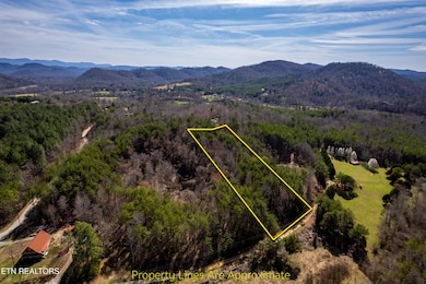 WelchRd,TellicoPlains-6