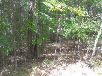 Lot 692 Club House Dr, Lackawaxen Township, PA 18428 - photo 2