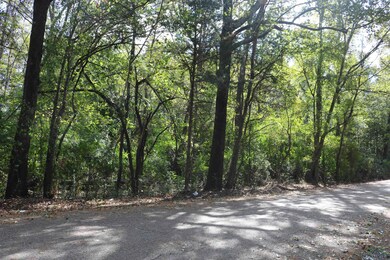 TBD N Cass St, Jefferson, TX 75657 - photo 5