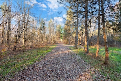 7761 Ohio 303, Windham, OH 44288 - photo 7