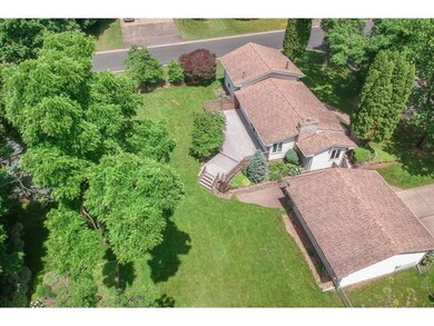 Huge Yard