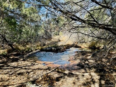 North Zapata creek run year around. Great hang out area.