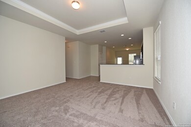 9909 Waddie Ln, San Antonio, TX 78254 - photo 6