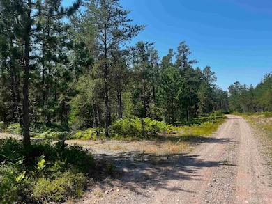 119 Gordon Rd, Harvey, MI 49855 - photo 2