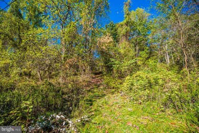 LOT D Rocky Ln, Front Royal, VA 22630 - photo 4