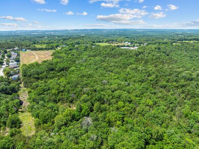 36.50 acres T Hwy Branson MO (7)
