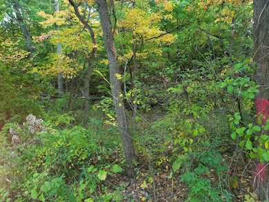 7411 Ash Ave, Gary, IN 46403 - photo 5