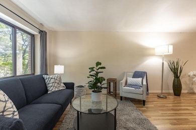 9 Ryder St unit 11, Arlington, MA 02476 - photo 5