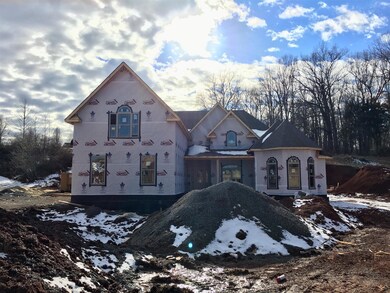 Progress on 1/20/2018