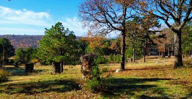 49536 State Highway 82, Talihina, OK 74571 - photo 4