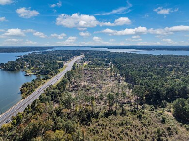 17446 Pintail Dr, Flint, TX 75762 - photo 6