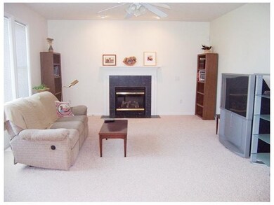 Family Room. family room with new carpet, gas fire