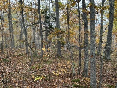 image2 (5)