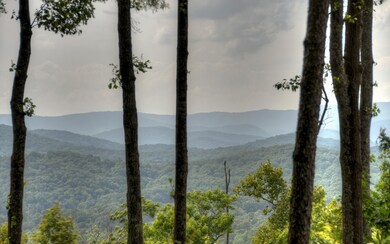 Additional View